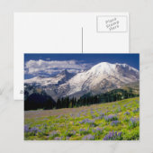 VS, Washington, Nationaal park Mount Rainier. Briefkaart (Voorkant / Achterkant)