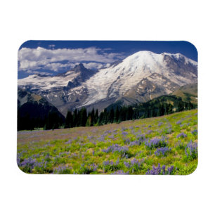 VS, Washington, Nationaal park Mount Rainier. Magneet