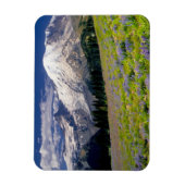 VS, Washington, Nationaal park Mount Rainier. Magneet (Verticaal)