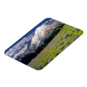 VS, Washington, Nationaal park Mount Rainier. Magneet (Linkerzijde)
