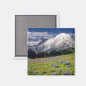 VS, Washington, Nationaal park Mount Rainier. Magneet (Voorkant / Achterkant)