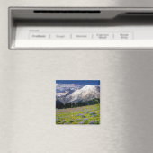 VS, Washington, Nationaal park Mount Rainier. Magneet (Insitu (Vaatwasser))