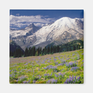 VS, Washington, Nationaal park Mount Rainier. Magneet
