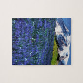 VS, Washington, Nationaal park Mount Rainier. Mt. Legpuzzel (Horizontaal)