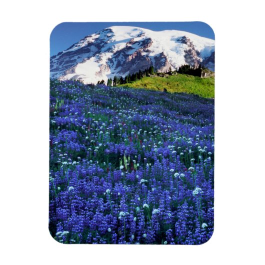 VS, Washington, Nationaal park Mount Rainier. Mt. Magneet (Verticaal)