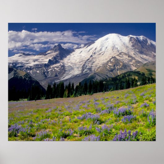 VS, Washington, Nationaal park Mount Rainier. Poster (Voorkant)