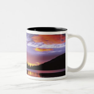 VS, Washington, Nationaal park Mount Rainier, Tweekleurige Koffiemok