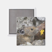 VS, Washington, North Cascades National Park, Magneet (Voorkant / Achterkant)