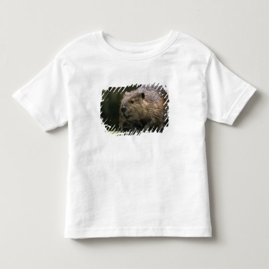 VS, Washington, Northwest Trek. Bever Kinder Shirts (Voorkant)