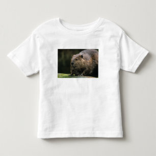 VS, Washington, Northwest Trek. Bever Kinder Shirts