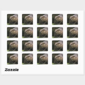 VS, Washington, Northwest Trek. Bever Vierkante Sticker (Vel)