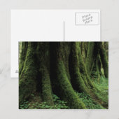 VS, Washington, Olympic National Park, 2 Briefkaart (Voorkant / Achterkant)