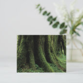 VS, Washington, Olympic National Park, 2 Briefkaart (Staand voorkant)