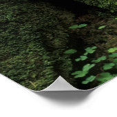 VS, Washington, Olympic National Park, 2 Poster (Hoek)