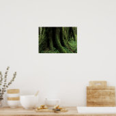 VS, Washington, Olympic National Park, 2 Poster (Keuken)