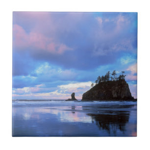 VS, Washington, Olympic National Park 2 Tegeltje