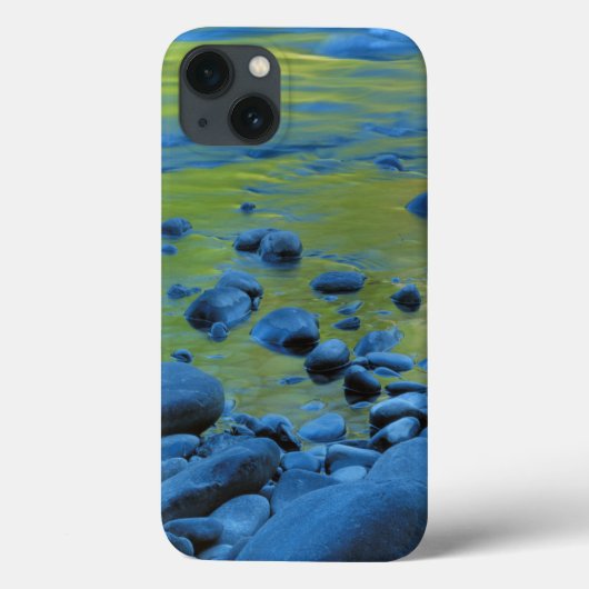 VS, Washington, Olympic National Park 4 Case-Mate iPhone Case (Achterkant)