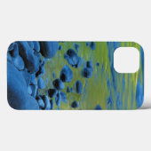 VS, Washington, Olympic National Park 4 Case-Mate iPhone Case (Achterkant (horizontaal))