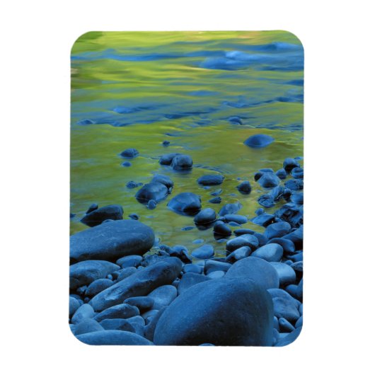 VS, Washington, Olympic National Park 4 Magneet (Verticaal)