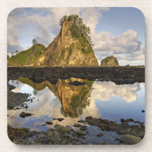 VS, Washington, Olympic National Park. A Bier Onderzetter
