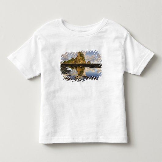 VS, Washington, Olympic National Park.  A Kinder Shirts (Voorkant)