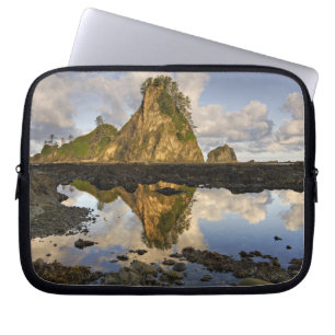VS, Washington, Olympic National Park. A Laptop Sleeve