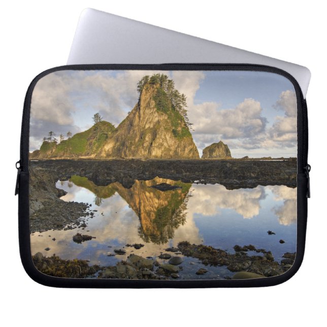 VS, Washington, Olympic National Park.  A Laptop Sleeve (Voorkant)