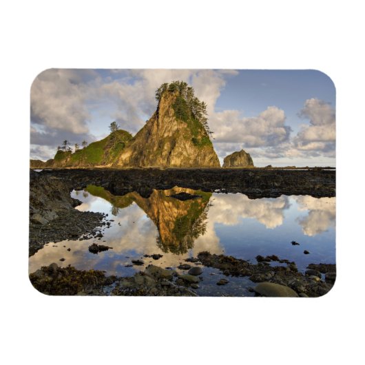 VS, Washington, Olympic National Park.  A Magneet (Horizontaal)