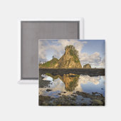 VS, Washington, Olympic National Park. A Magneet (Voorkant / Achterkant)