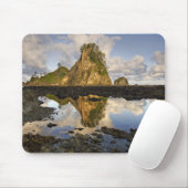 VS, Washington, Olympic National Park. A Muismat (Met muis)