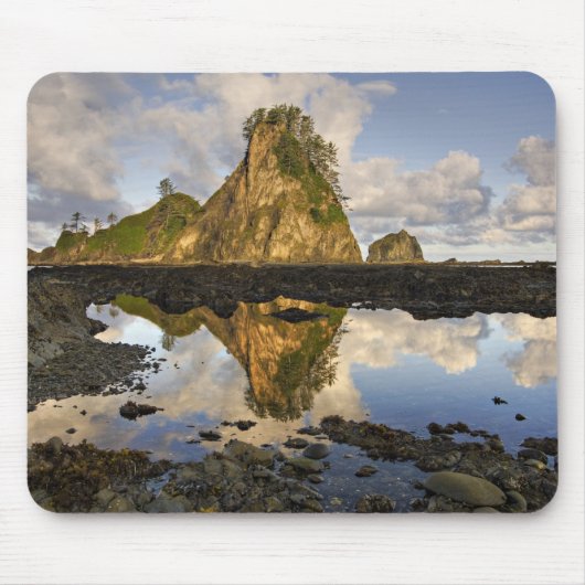 VS, Washington, Olympic National Park. A Muismat (Voorkant)