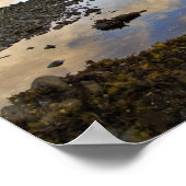 VS, Washington, Olympic National Park. A Poster (Hoek)