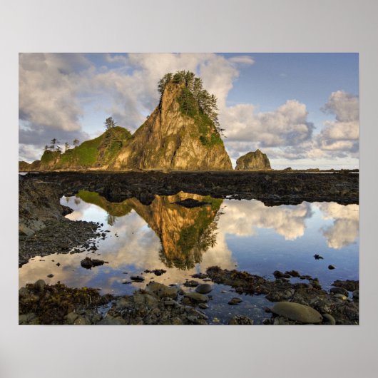 VS, Washington, Olympic National Park. A Poster (Voorkant)