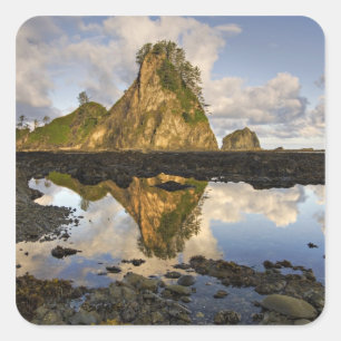 VS, Washington, Olympic National Park.  A Vierkante Sticker