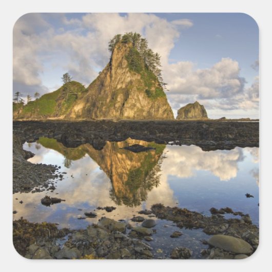 VS, Washington, Olympic National Park. A Vierkante Sticker (Voorkant)