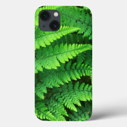 VS, Washington, Olympic National Park, Athyrium Case-Mate iPhone Case (Achterkant)