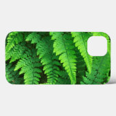 VS, Washington, Olympic National Park, Athyrium Case-Mate iPhone Case (Achterkant (horizontaal))