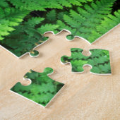 VS, Washington, Olympic National Park, Athyrium Legpuzzel (Zijkant)