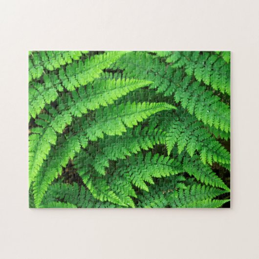 VS, Washington, Olympic National Park, Athyrium Legpuzzel (Horizontaal)