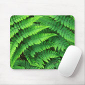 VS, Washington, Olympic National Park, Athyrium Muismat (Met muis)