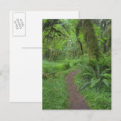 VS, Washington, Olympic National Park, Briefkaart (Voorkant / Achterkant)