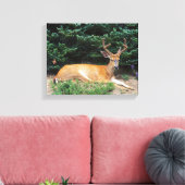 VS, Washington, Olympic National Park Canvas Afdruk (Insitu (Woonkamer))