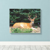 VS, Washington, Olympic National Park Canvas Afdruk (Insitu (Houten vloer))