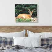 VS, Washington, Olympic National Park Canvas Afdruk (Insitu (Slaapkamer))