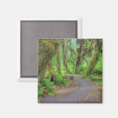 VS, Washington, Olympic National Park, Hoh 2 Magneet (Voorkant / Achterkant)