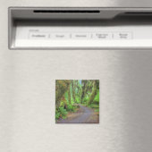 VS, Washington, Olympic National Park, Hoh 2 Magneet (Insitu (Vaatwasser))