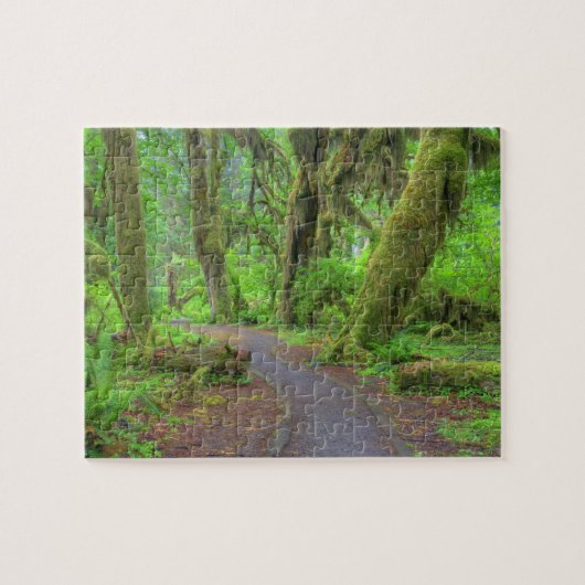 VS, Washington, Olympic National Park, Hoh Rain Legpuzzel (Horizontaal)