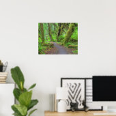 VS, Washington, Olympic National Park, Hoh-regen Poster (Thuiskantoor)