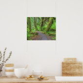 VS, Washington, Olympic National Park, Hoh-regen Poster (Keuken)