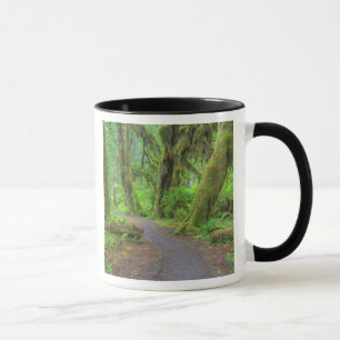 VS, Washington, Olympic National Park, Hoh-regenwo Mok